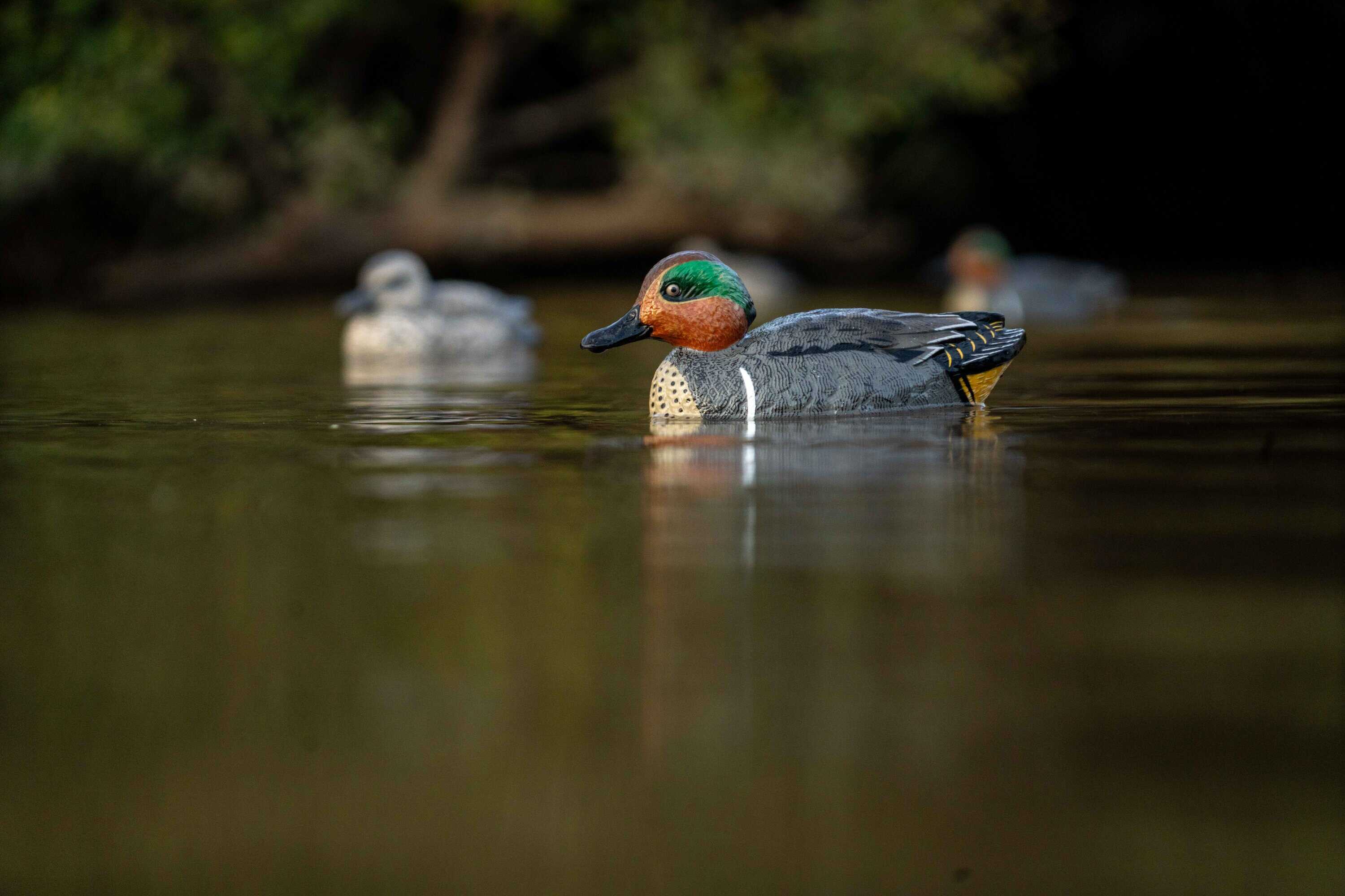 Decoys