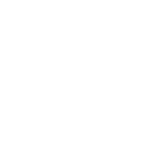 duckdecoys